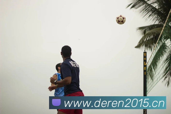 开云kaiyun网页版发展历程